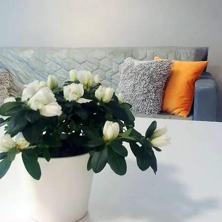 Bel Mare Wyspa, apartament z parkingiem gratis Międzyzdroje