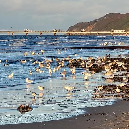 Bel Mare Wyspa, Z Parkingiem Gratis Διαμέρισμα Miedzyzdroje