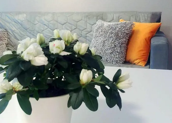 Bel Mare Wyspa, Z Parkingiem Gratis Мендзыздрое