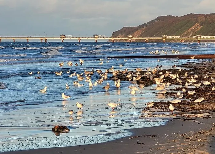 Bel Mare Wyspa, Z Parkingiem Gratis Апартаменты Мендзыздрое